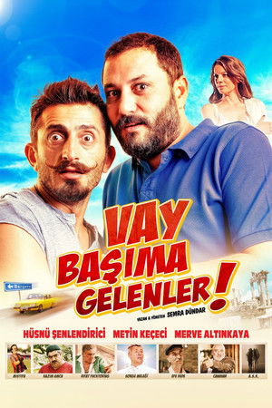 Vay Başıma Gelenler! (2013)