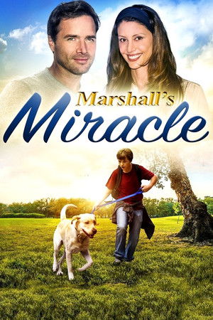 Marshall, Le Miracle de la Vie (2015)