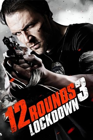 12 Rounds 3: Lockdown (2015)