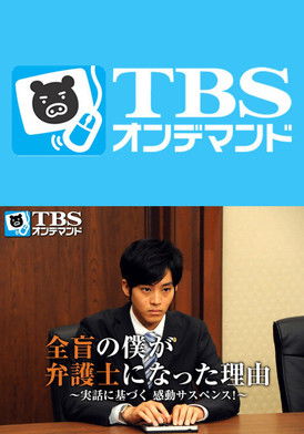 全盲の僕が弁護士になった理由 (2014)