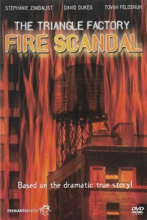 The Triangle Factory Fire Scandal (1979)