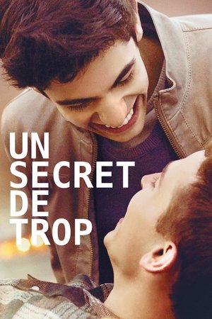 Un secret de trop (2015)