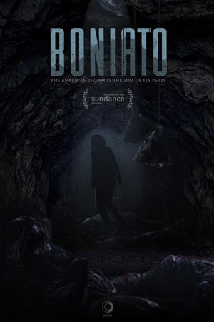 Boniato (2016)