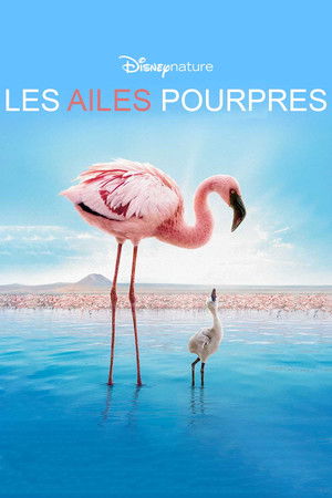 Les Ailes pourpres : Le Mystère des flamants (2008)