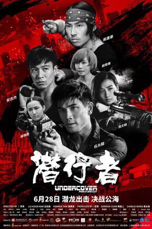 Undercover, Punch & Gun (2019)