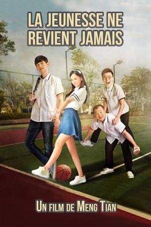 La jeunesse ne revient jamais (2015)