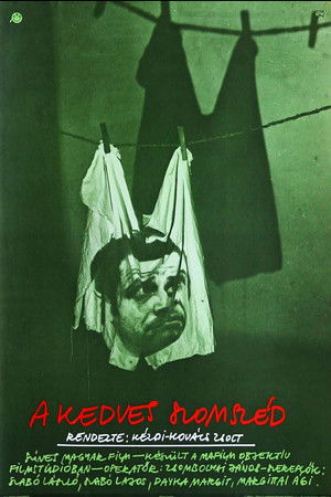 A kedves szomszéd (1979)