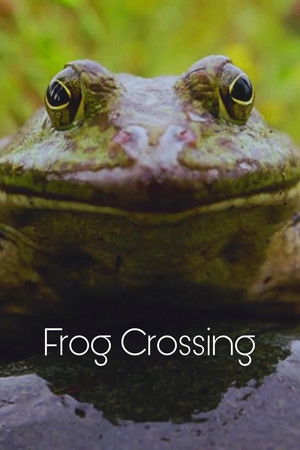 Frog Crossing (1996)