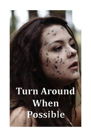Turn Around When Possible (2014)