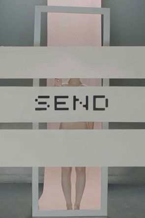 Send (2014)