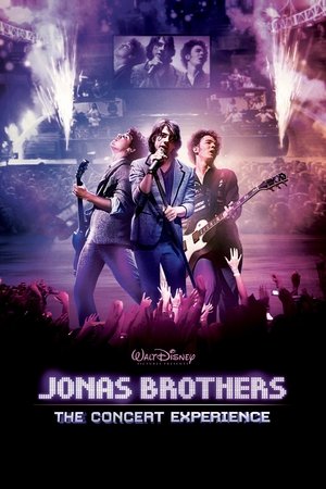 Jonas Brothers : le concert événement 3D (2009)