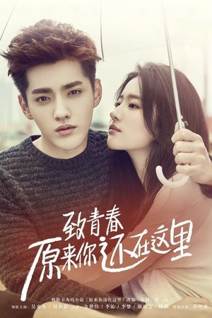 致青春·原来你还在这里 (2016)