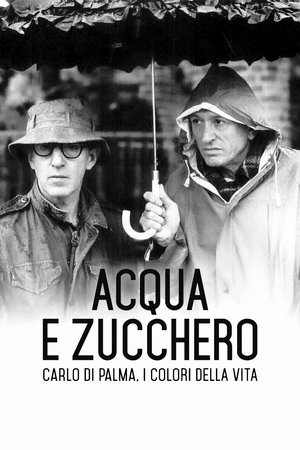 De l'eau et du sucre – Carlo Di Palma : les couleurs de la vie (2017)