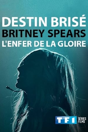 Destin Brisé : Britney Spears, l'enfer de la gloire (2017)