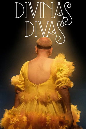 Divinas Divas (2016)