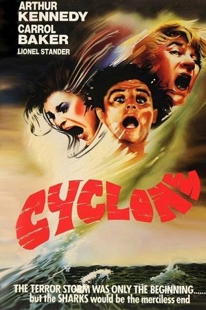 Cyclone (1978)