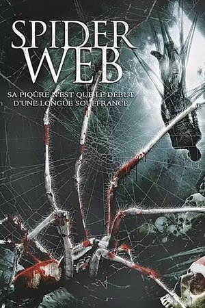 Spider Web (2007)