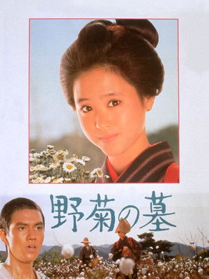 野菊の墓 (1981)