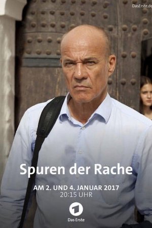 Spuren der Rache (2016)