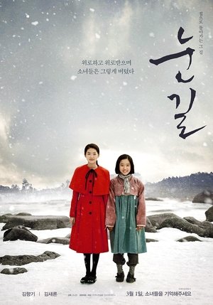 Snowy Road (2015)