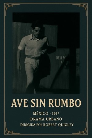 Ave sin rumbo (1937)
