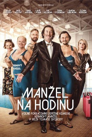Manžel na hodinu (2016)