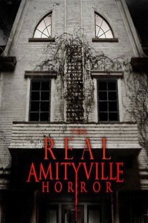 AMITYVILLE : L'histoire vraie (2005)