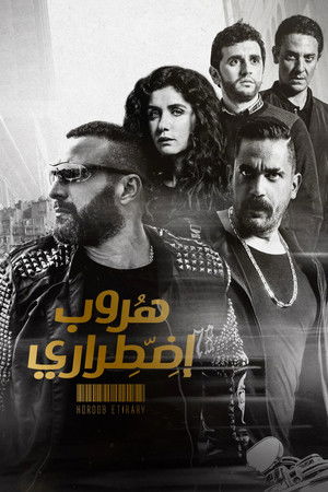 هروب إضطراري (2017)
