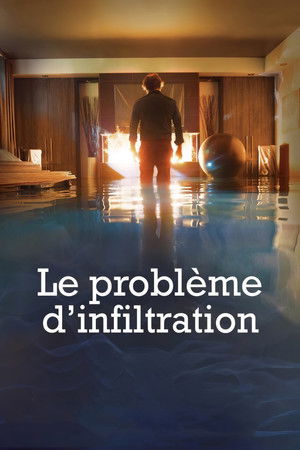 Le problème d'infiltration (2017)