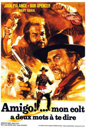 Amigo !... mon colt a deux mots à te dire (1972)
