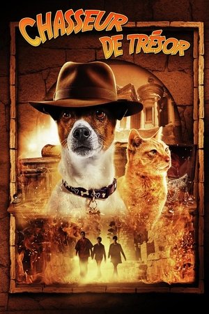 Chasseur de trésor (2017)