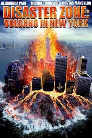 New York Volcano (2006)