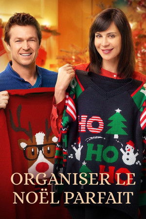 Organiser le Noël parfait (2017)