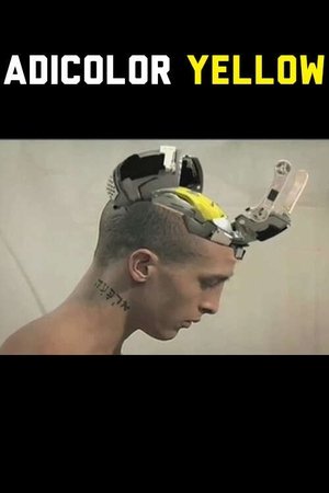 Adicolor Yellow (2006)