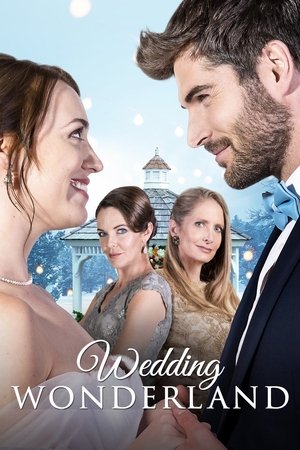 Un mariage sous la neige (2017)
