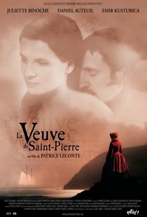 La Veuve de Saint-Pierre (2000)