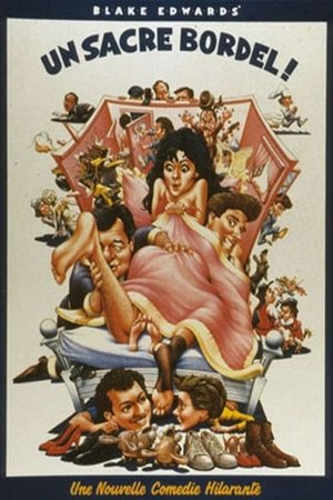 Un sacré bordel ! (1986)