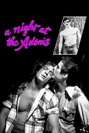 A Night at the Adonis (1978)