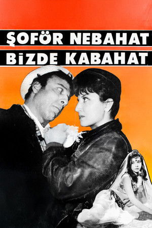Şoför Nebahat Bizde Kabahat (1965)