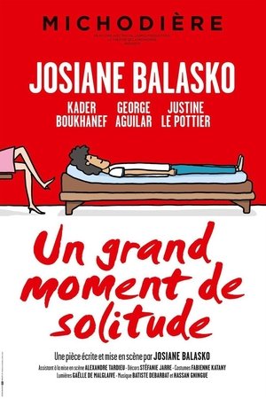 Un grand moment de solitude (2015)