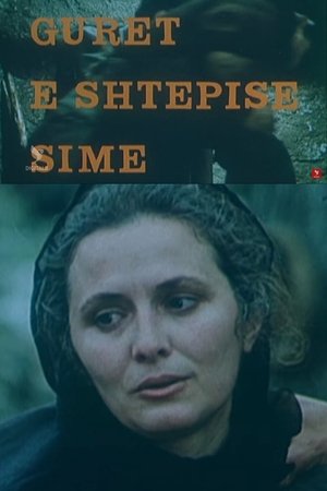 Gurët e shtëpisë sime (1983)