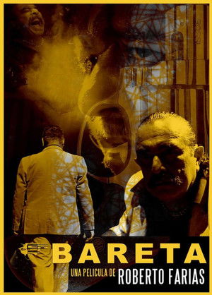 Bareta (2013)