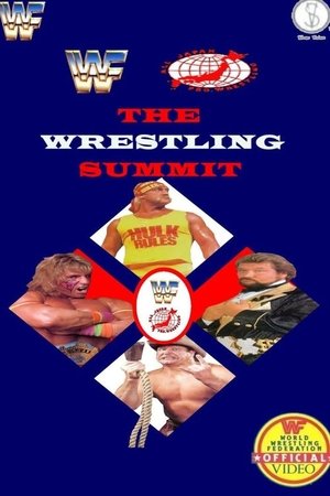 WWF/AJPW/NJPW Wrestling Summit (1990)