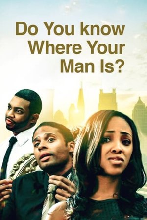 Do You Know Where Your Man Is (2013)
