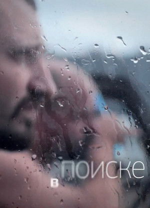 В поиске (2012)