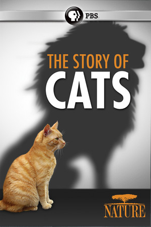 The Story of Cats (2016)