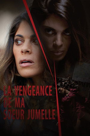 La vengeance de ma sœur jumelle (2018)