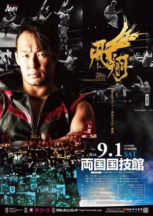 NOAH: Naomichi Marufuji 20th Anniversary Show (2018)