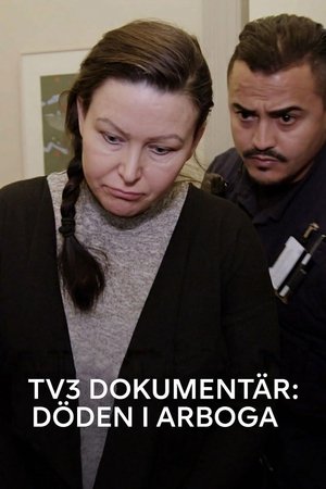 Döden i Arboga (2018)