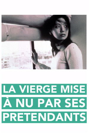 La Vierge mise à nu par ses prétendants (2000)
